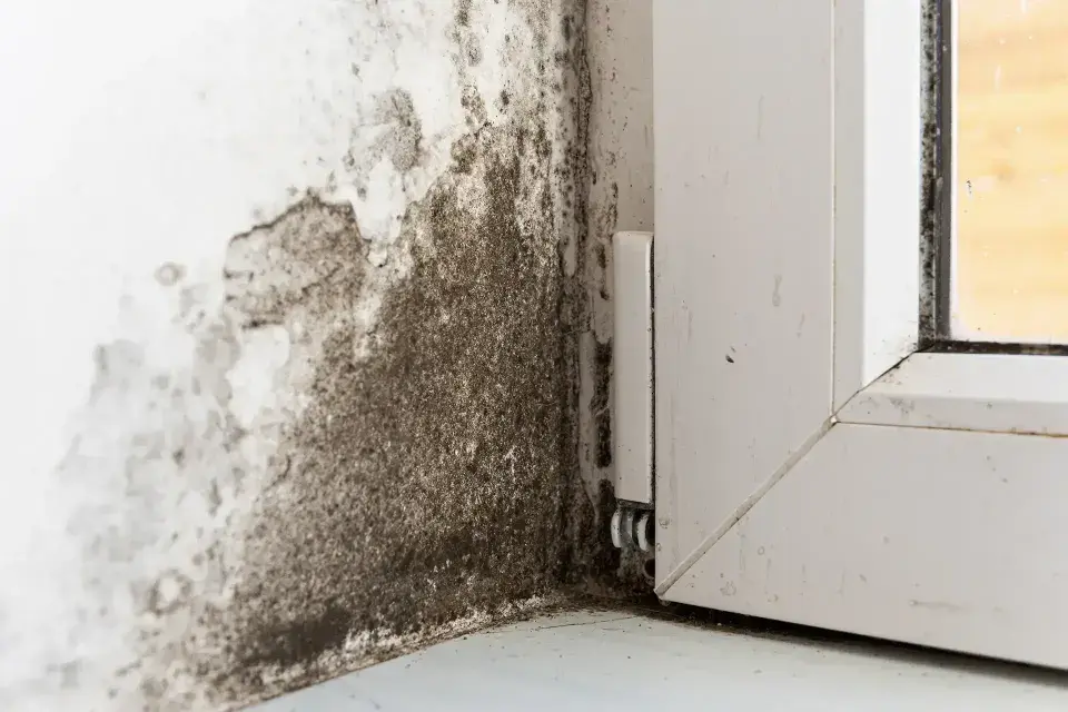 Water Damage in Henderson, NV